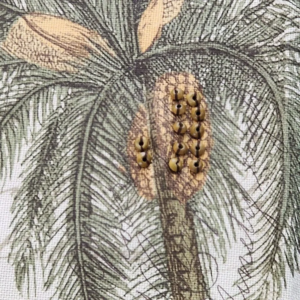 Avanti Home Linens Shower Curtain Colony Palm Tree Beaded Accents 72